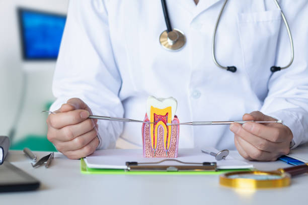 Best Knocked-Out Tooth Emergency  in Battle Creek, MI